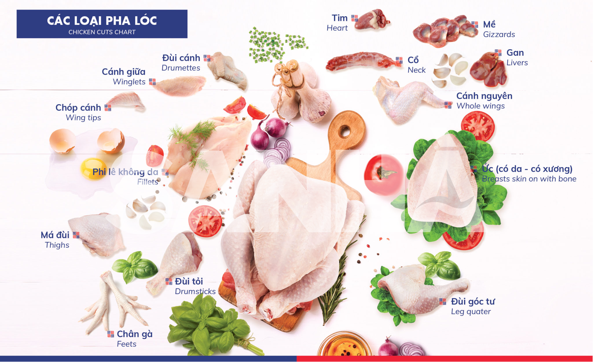 Fresh Poultry Meat